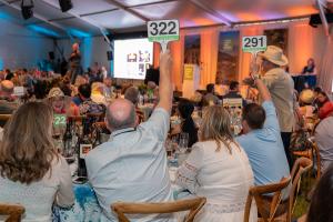 Sonoma County Wine Auction bidders raising bid paddles from their tables with the auctioneer on stage