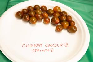 Cherry Chocolate Sprinkle tomatoes