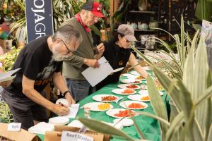 Participants Scoring the Tomatoes for Appearance and Flavor