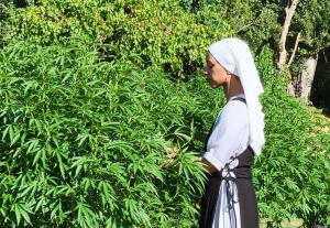 a young sister catches the morning air in the garden with the weed plants