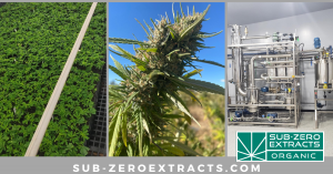 three-part image with name of company 'sub-zero extracts' includes a close-up of a healthy cannabis kola, a drone shot of a field of cannabis, and an image of the concentrate-making lab